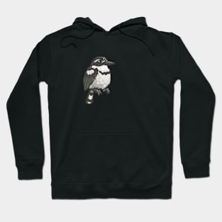 Pied Puffbird Hoodie